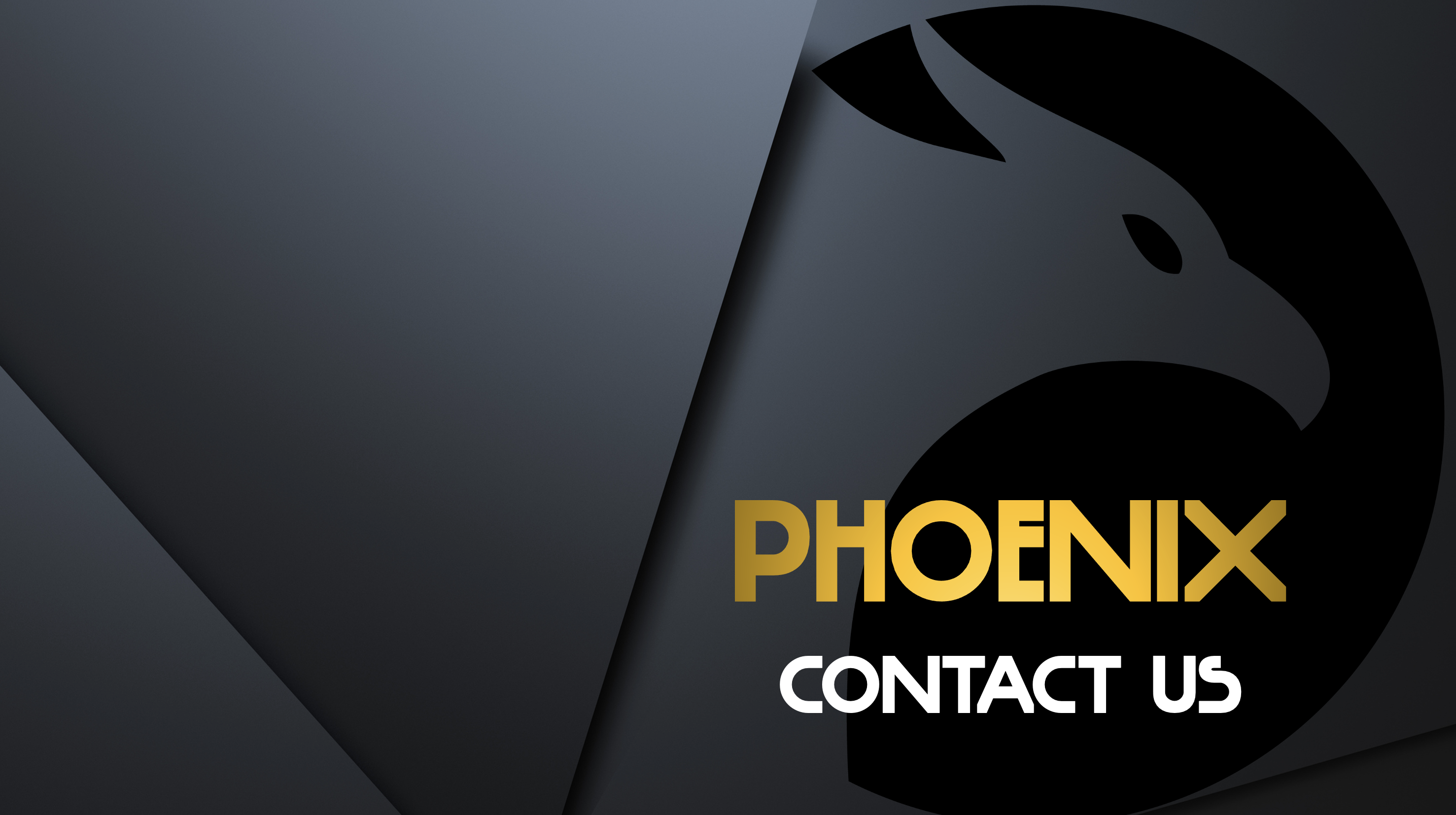 Phoenix - Contact Us...Please! Pretty Please!